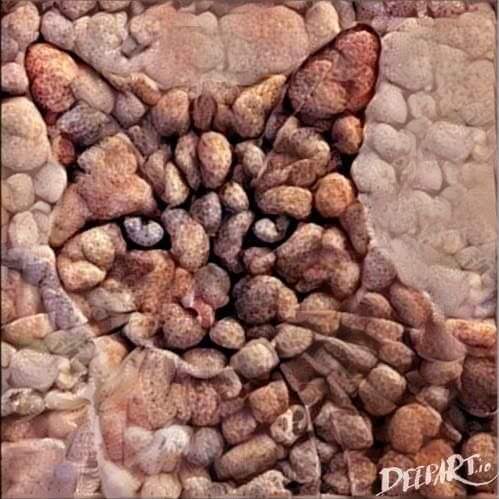 ���� ���� ������ �� ���� ������