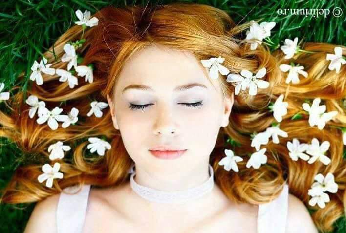 p_15384ixxz0.jpg