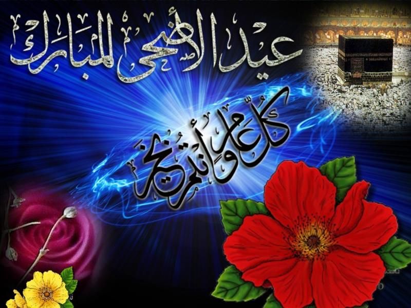 [صورة: p_1673qpdhv1.jpg]