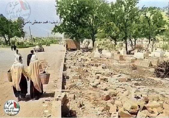 ���� ���� ������ �� ���� ������