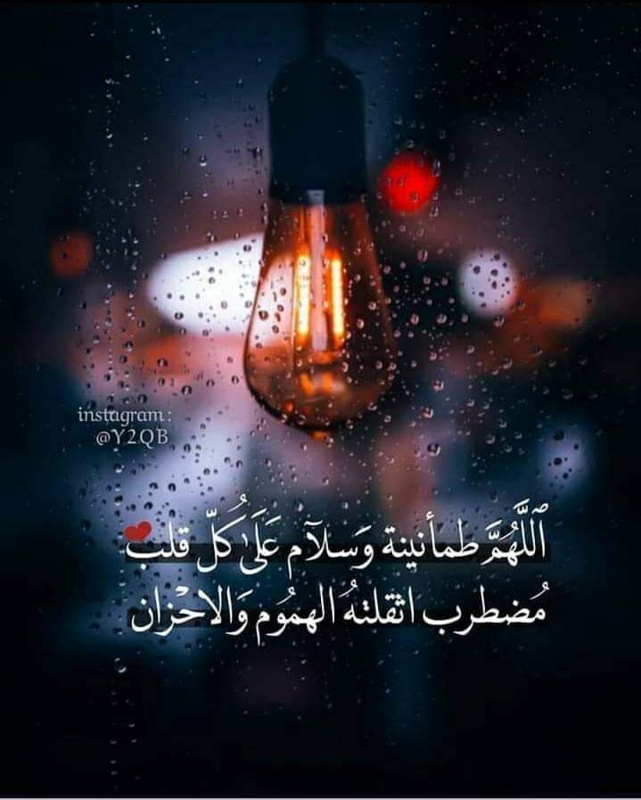 ���� ���� ������ �� ���� ������