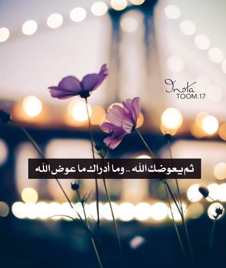 ���� ���� ������ �� ���� ������