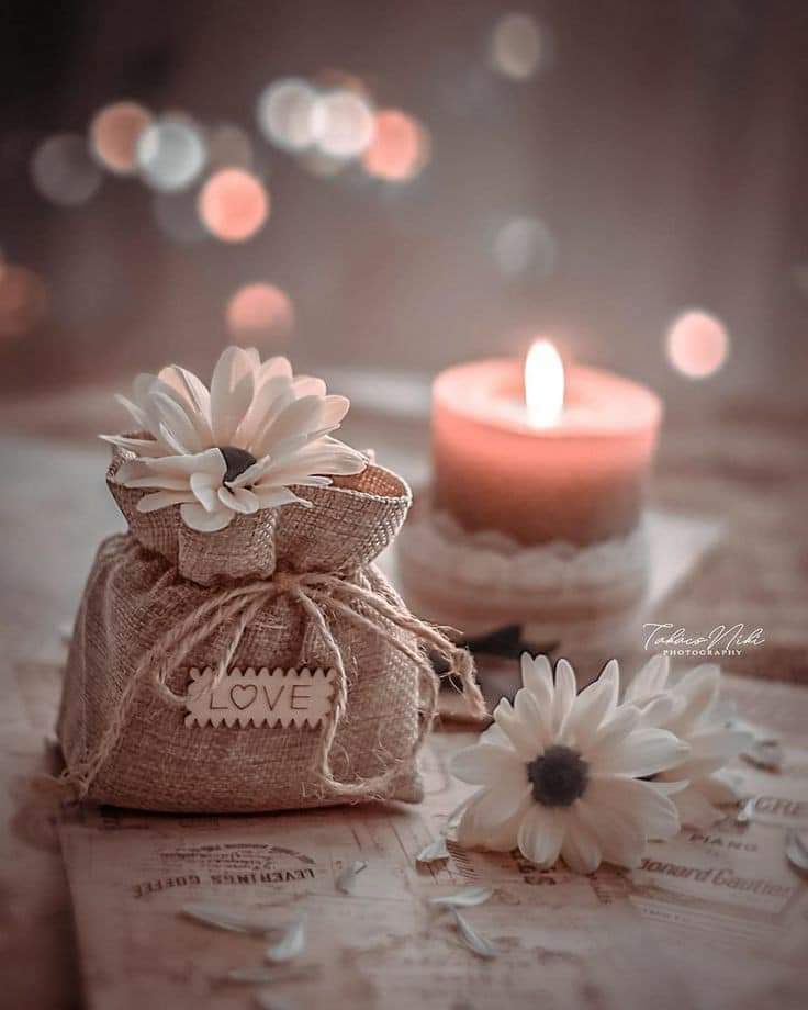 ���� ���� ������ �� ���� ������