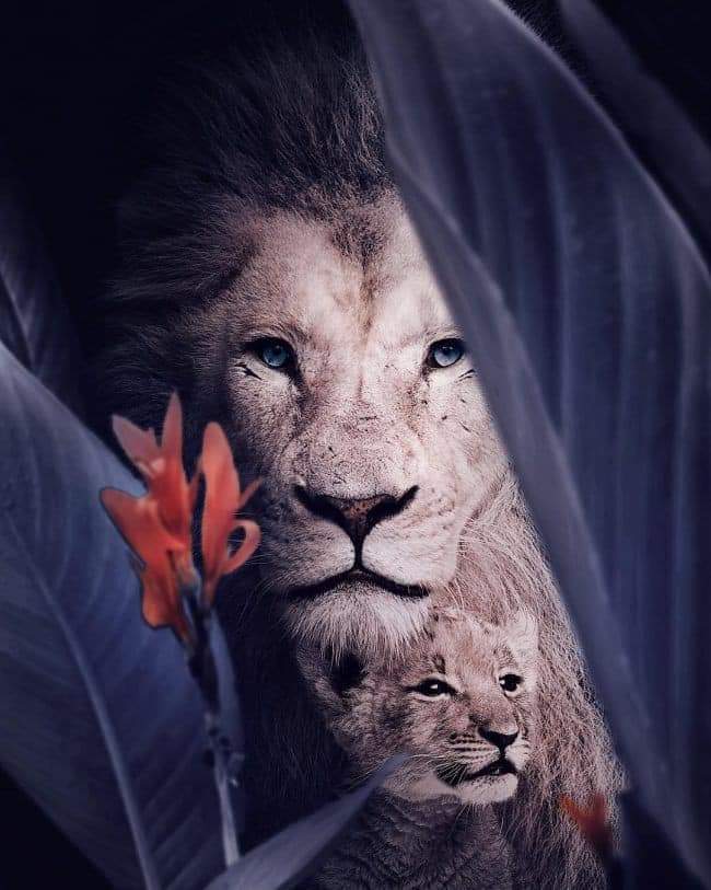 ���� ���� ������ �� ���� ������