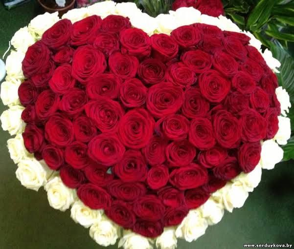 ���� ���� ������ �� ���� ������