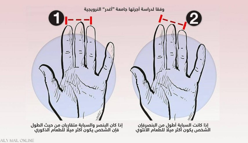 دراسة تكشف علاقة غريبة بين أصابع اليد وتفضيلات الطعام P_1910lmnfv1