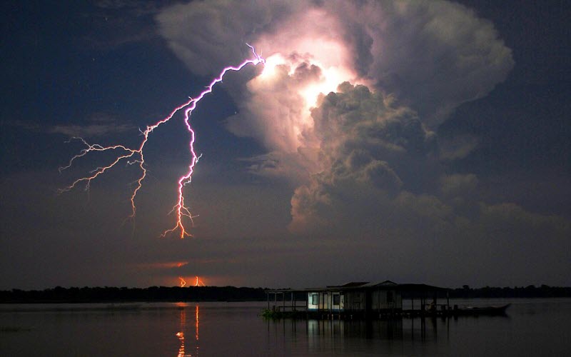 ���� ���� ������ �� ���� ������