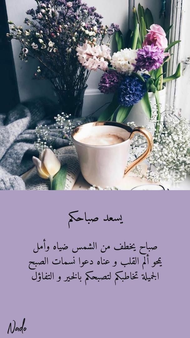 ���� ���� ������ �� ���� ������