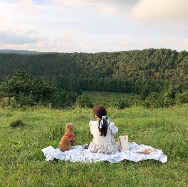 ���� ���� ������ �� ���� ������