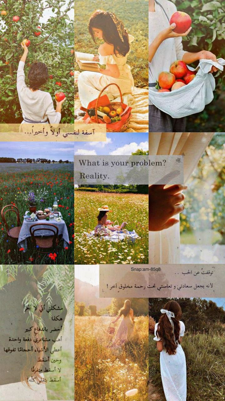 ���� ���� ������ �� ���� ������