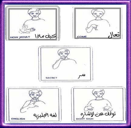 ���� ������� ������ p_2226ci7320.gif