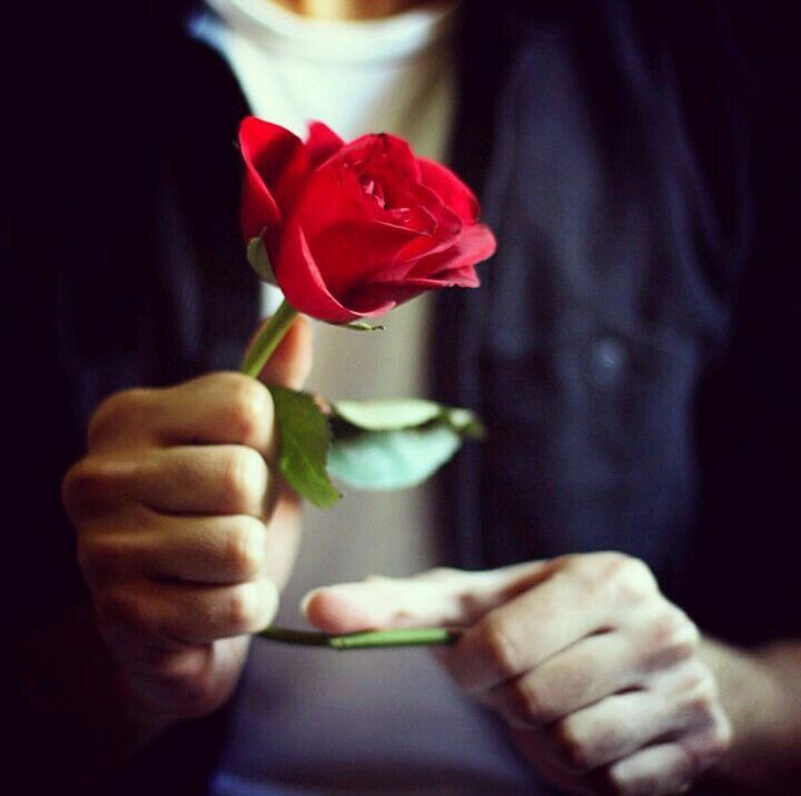 نقره لعرض الصورة في صفحة مستقلة