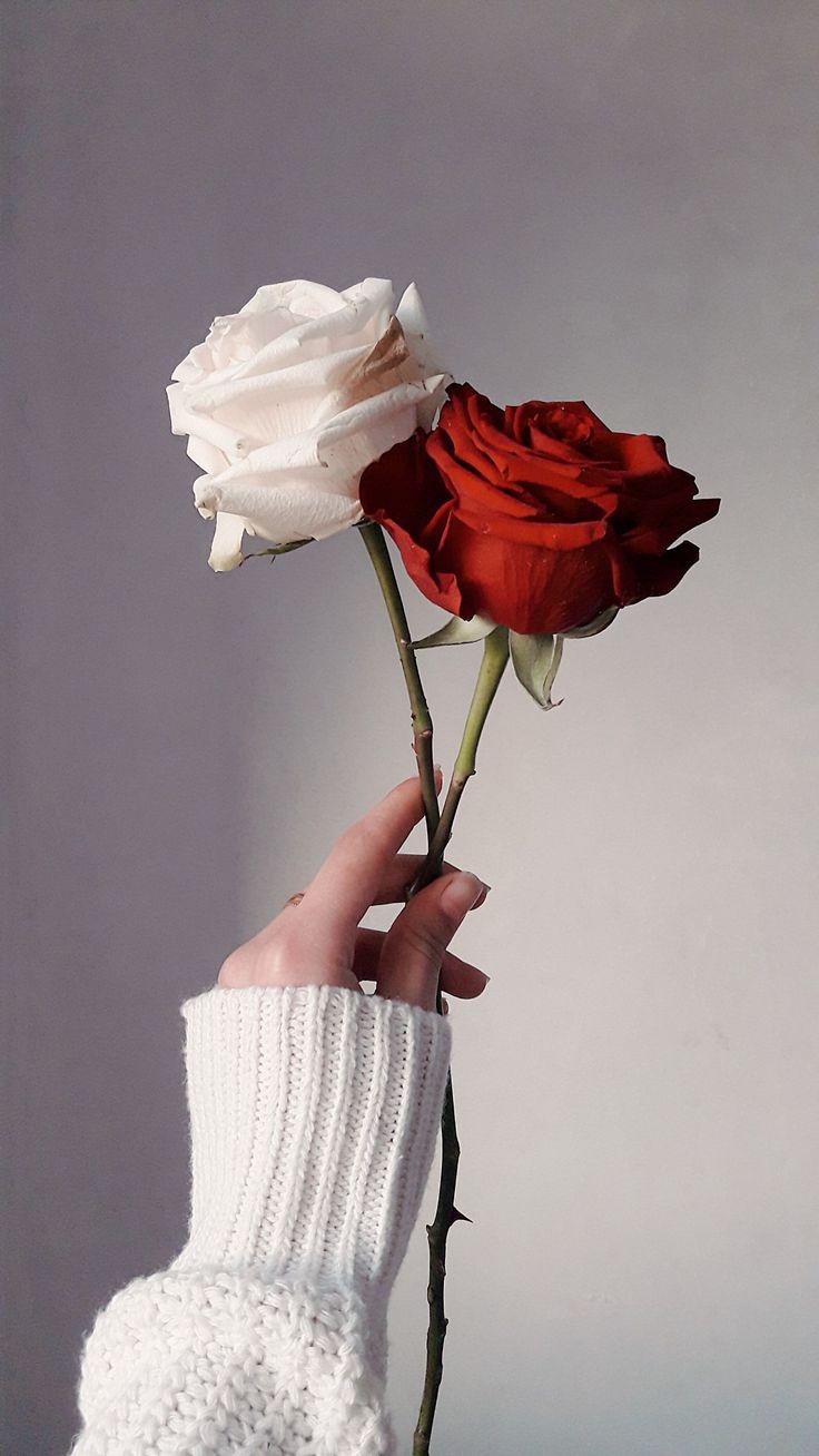 ���� ���� ������ �� ���� ������