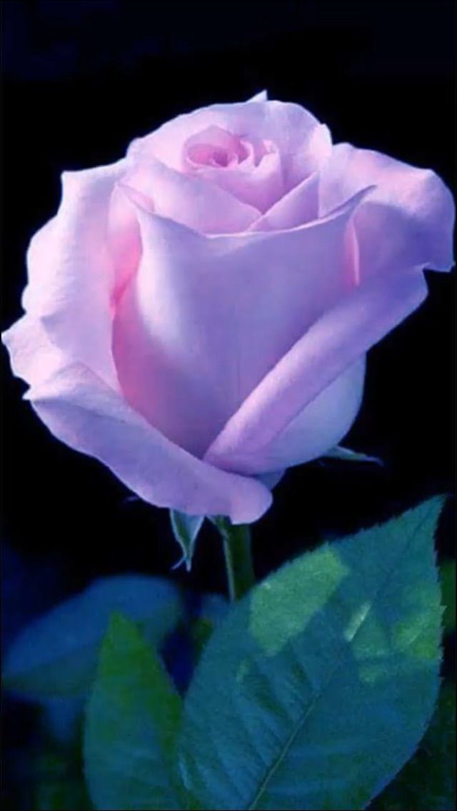 ���� ���� ������ �� ���� ������