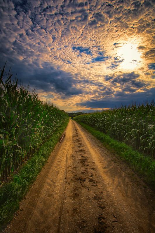 ���� ���� ������ �� ���� ������