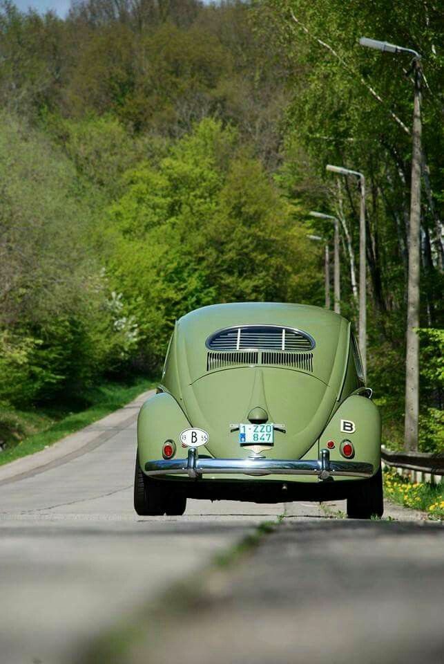 ���� ���� ������ �� ���� ������