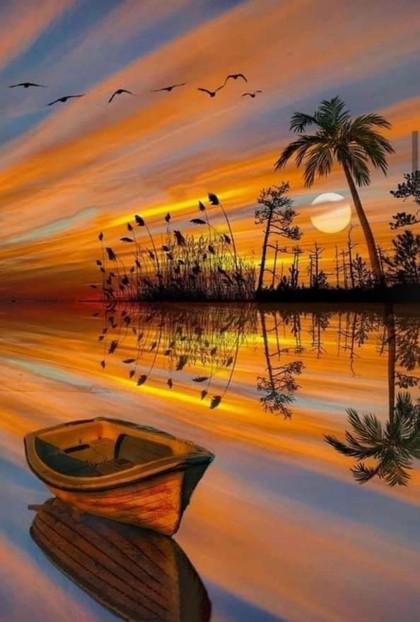 ���� ���� ������ �� ���� ������