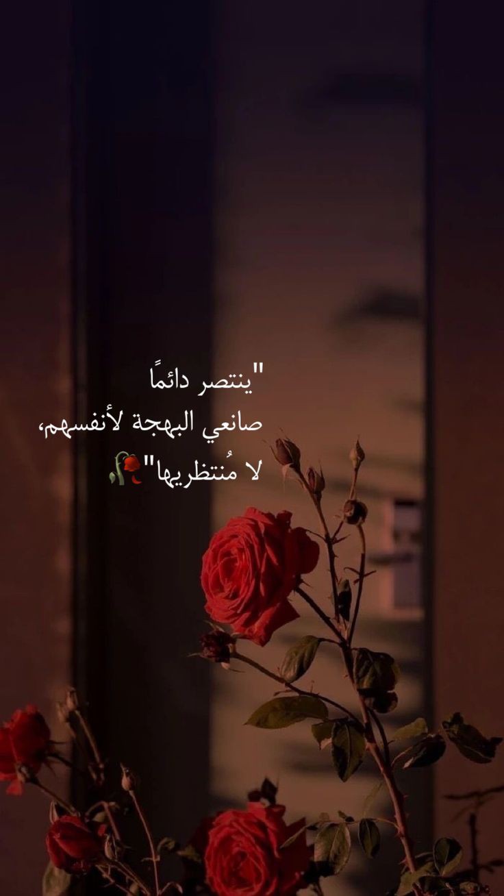نقره لعرض الصورة في صفحة مستقلة