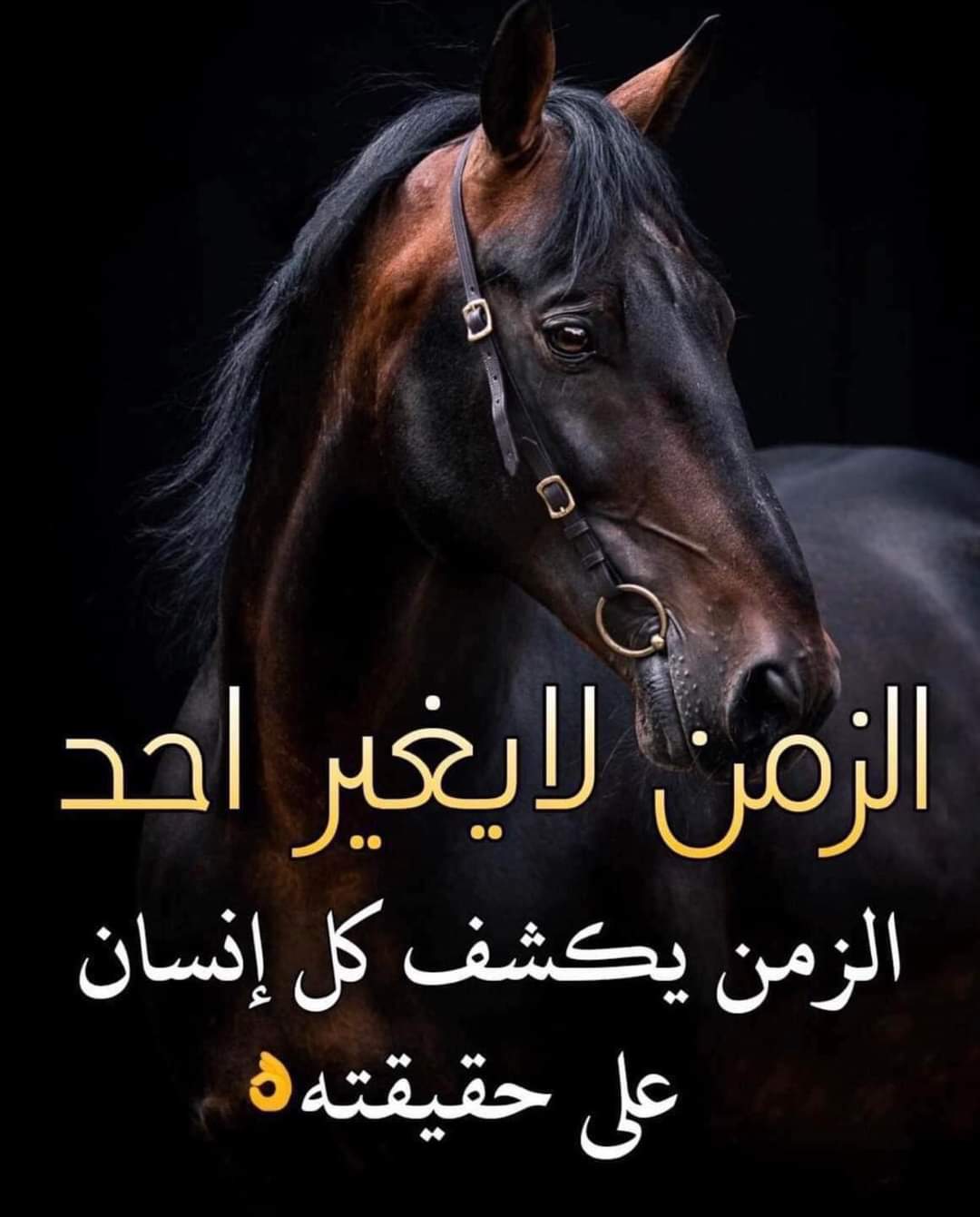 ���� ���� ������ �� ���� ������