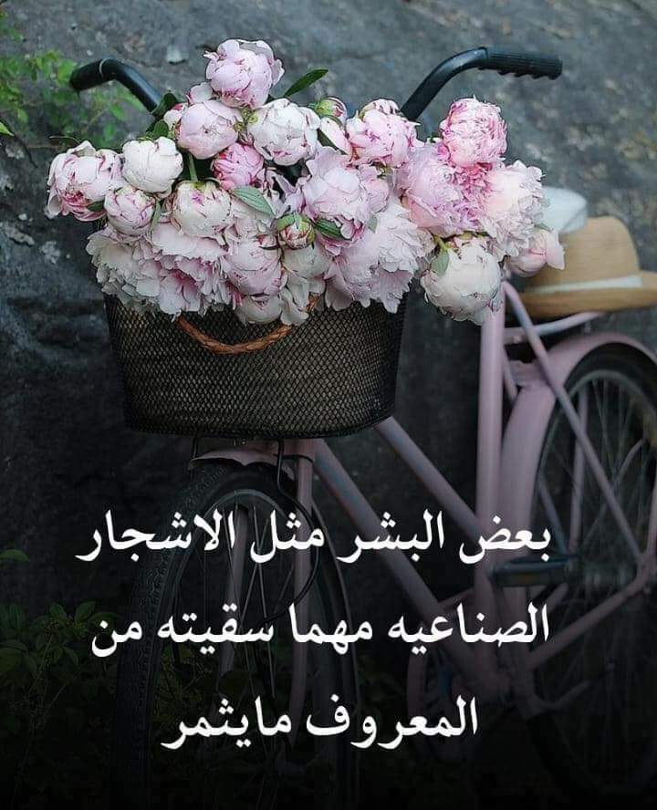 ���� ���� ������ �� ���� ������