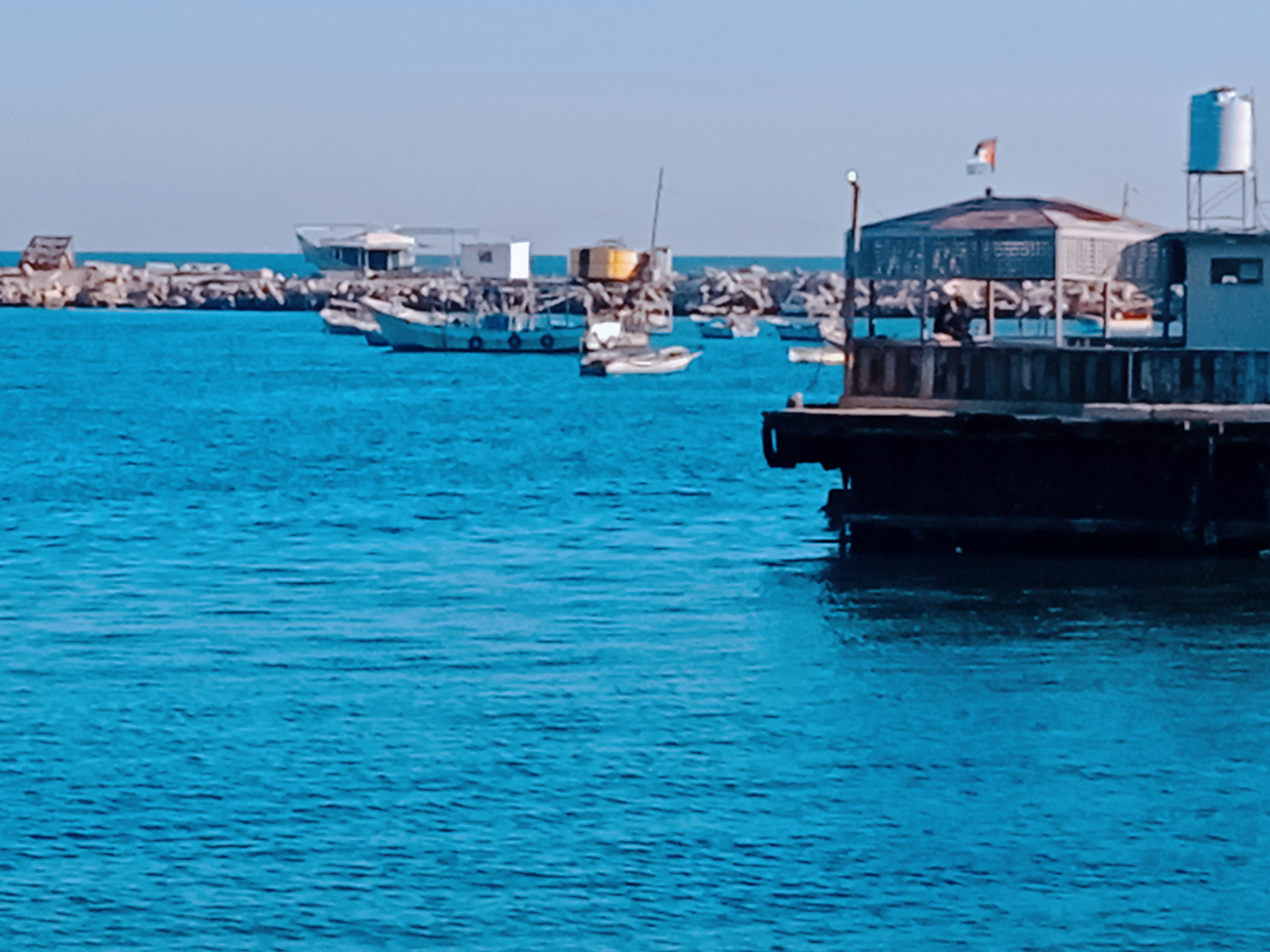 نقره لعرض الصورة في صفحة مستقلة