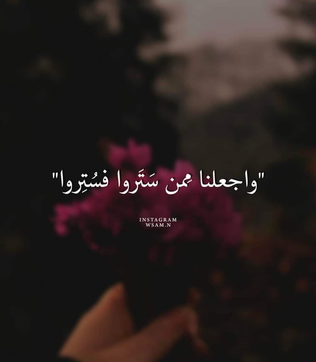 ���� ���� ������ �� ���� ������