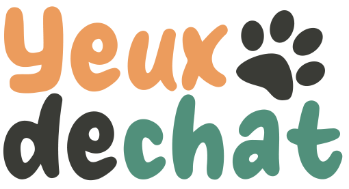 Santé des yeux de chat