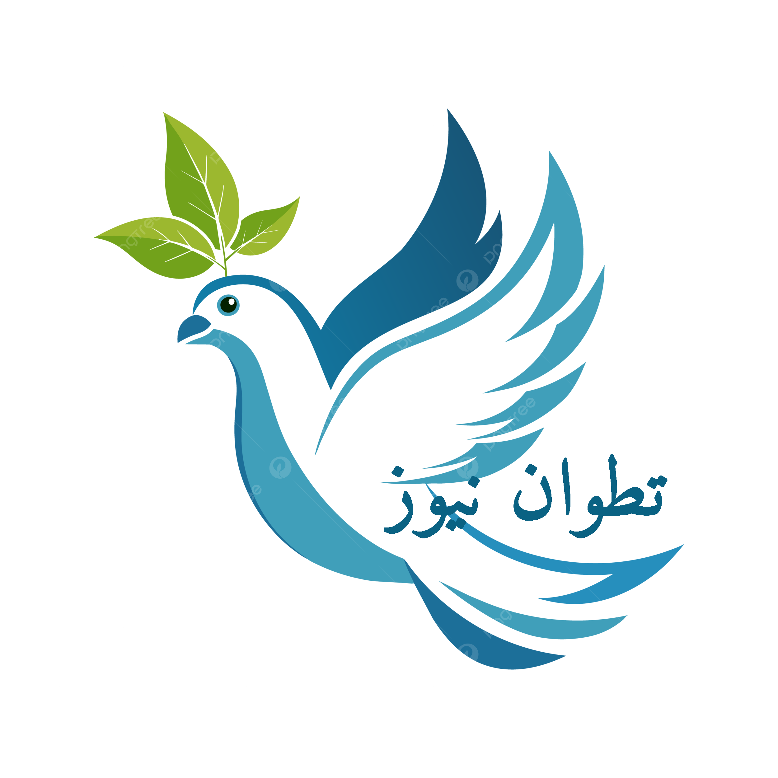 أخبار تطوان