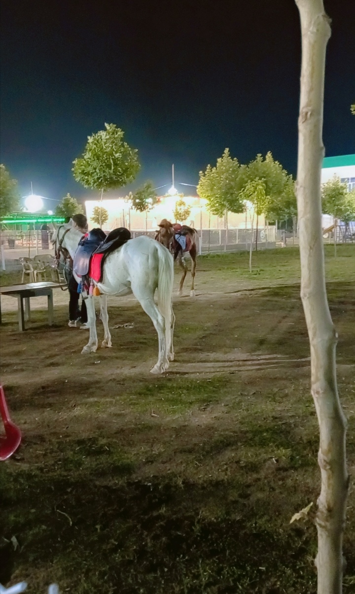 عدستي تصويري amp128247