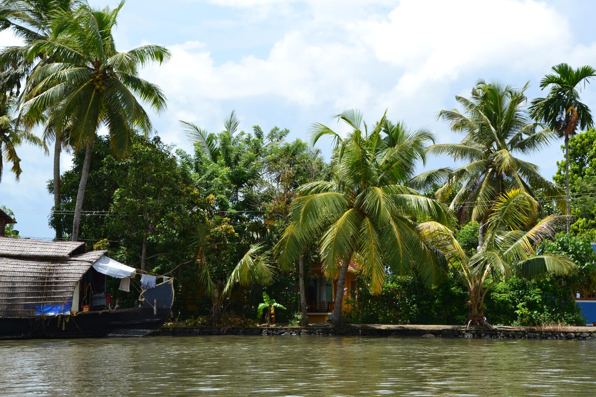 Alappuzha Backwaters