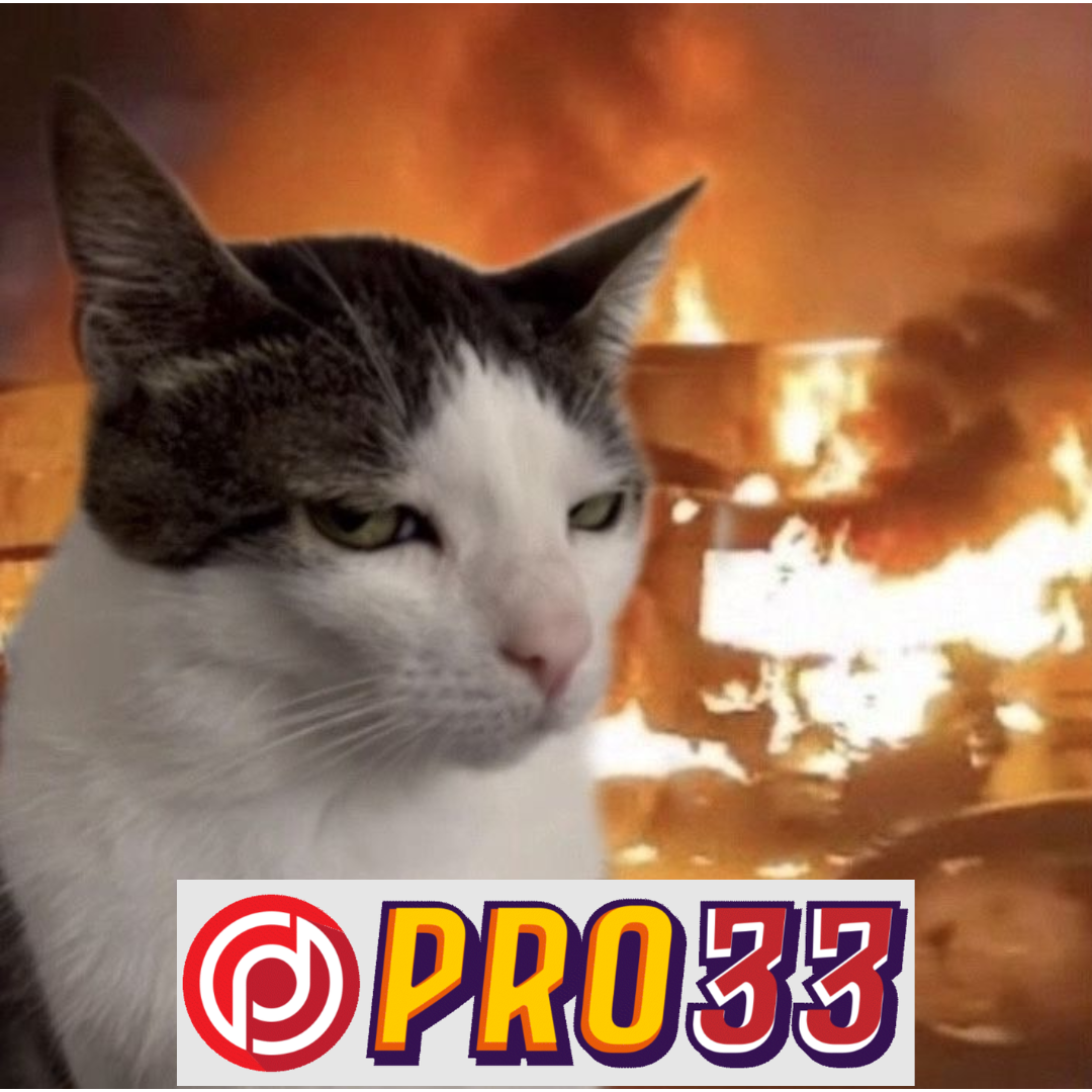 PRO33