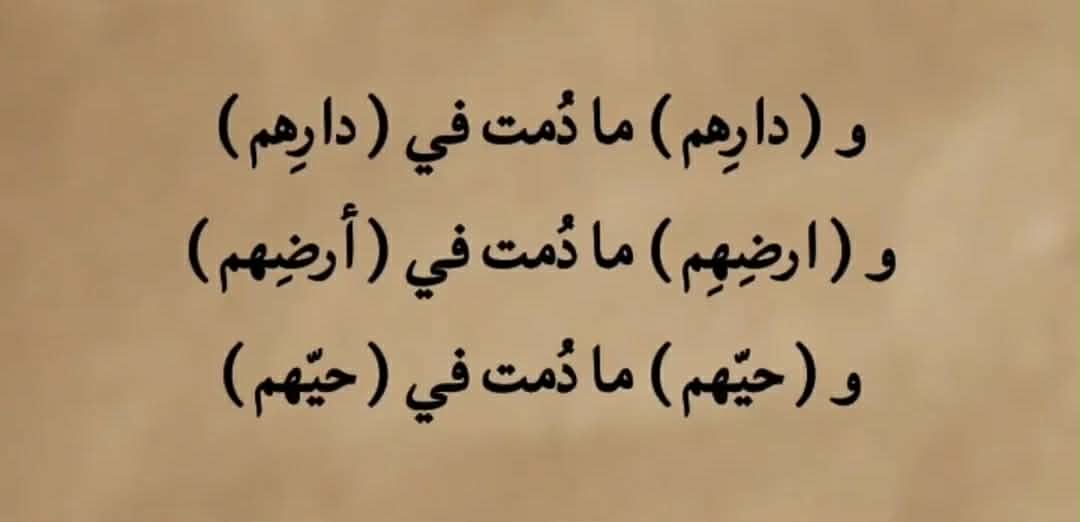 ���� ���� ������ �� ���� ������