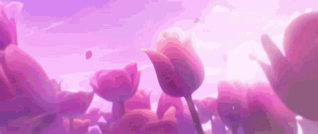 p_379687g6p4.gif