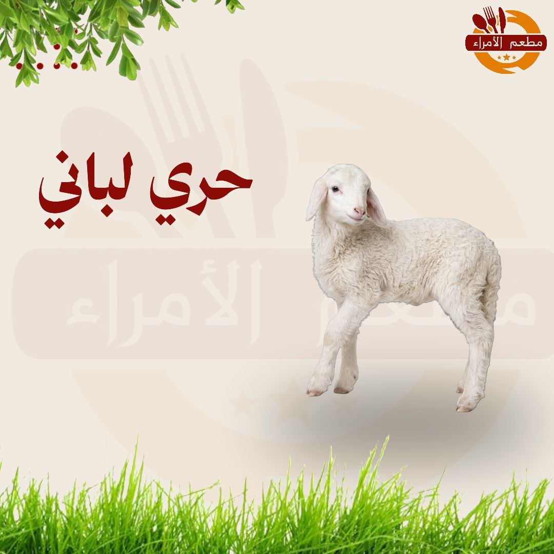 حري لباني 4 شهور