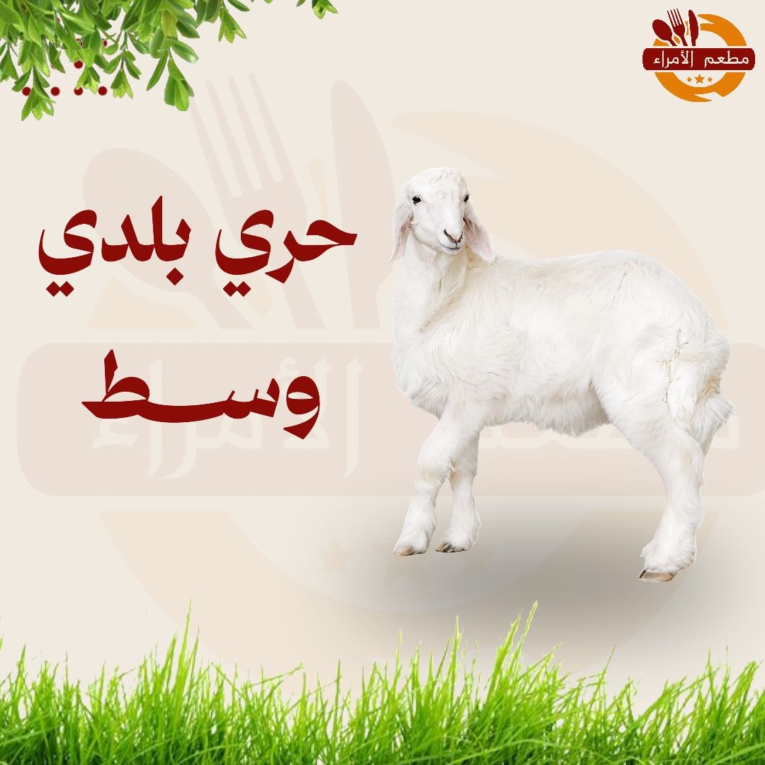 حري بلدي وسط